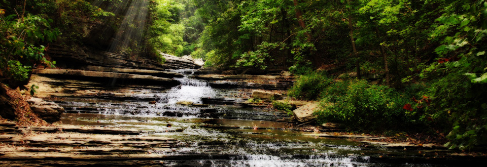A guide to living and working in the Green Valley