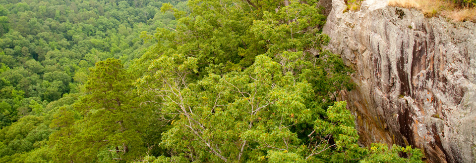 A guide to living and working in the Green Valley